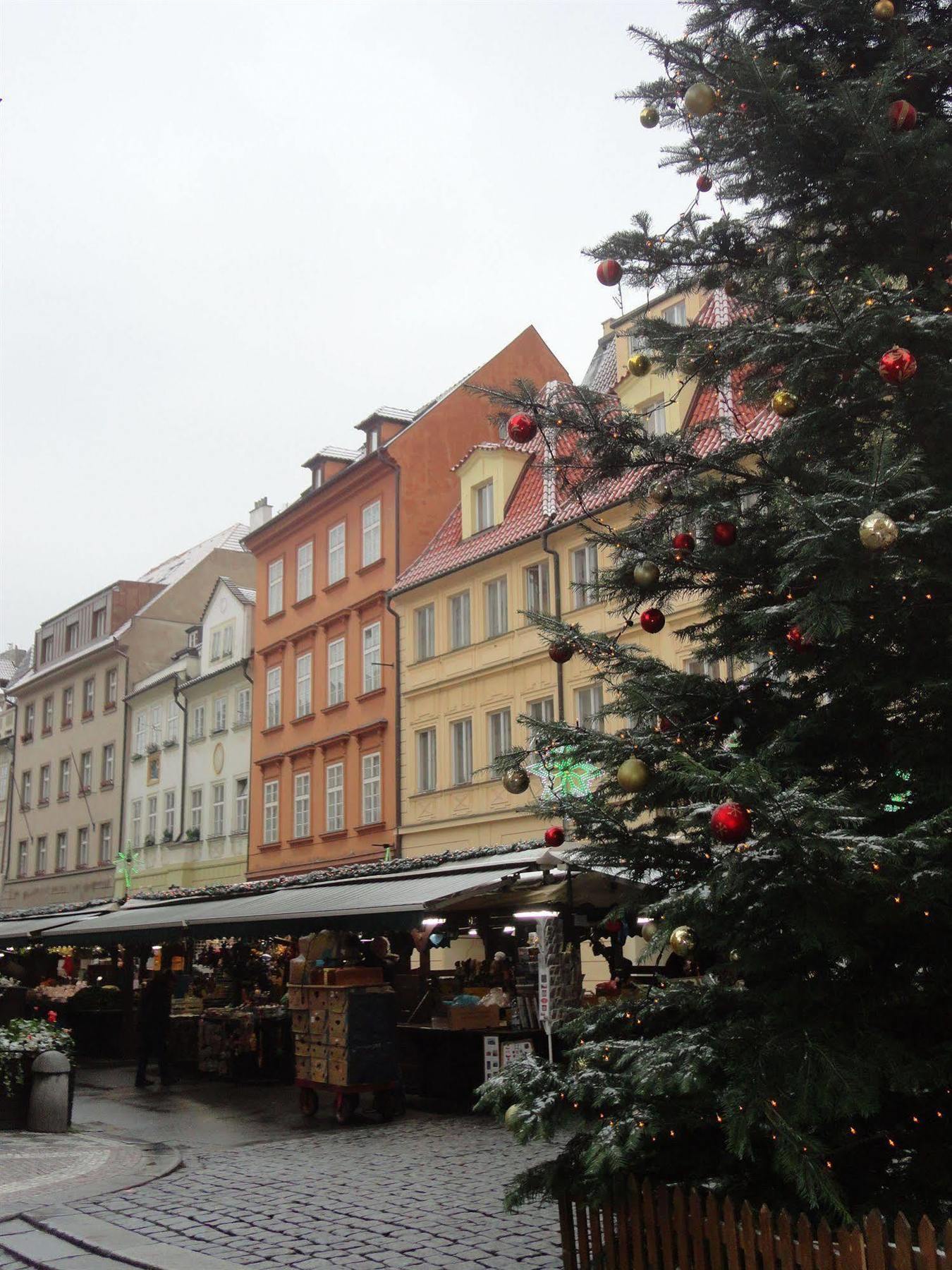 Pension Tara Prag Exterior foto